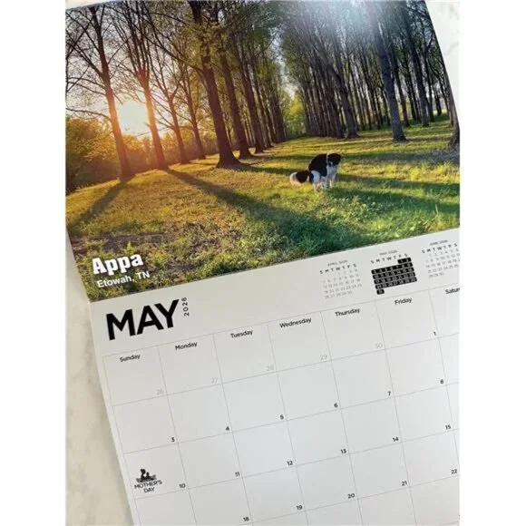 White Elephant Gag Gift Calendar - Picture 4 of 8